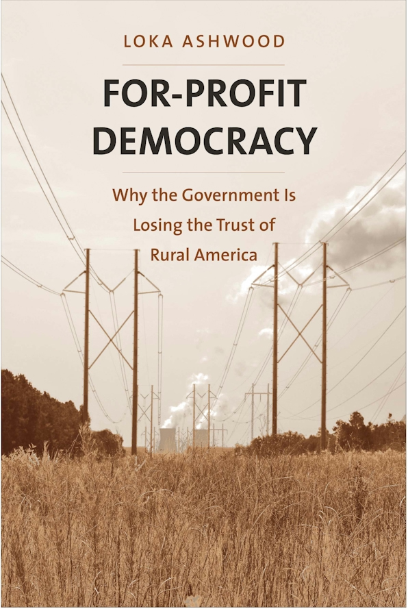 book cover of For Profit Democracy