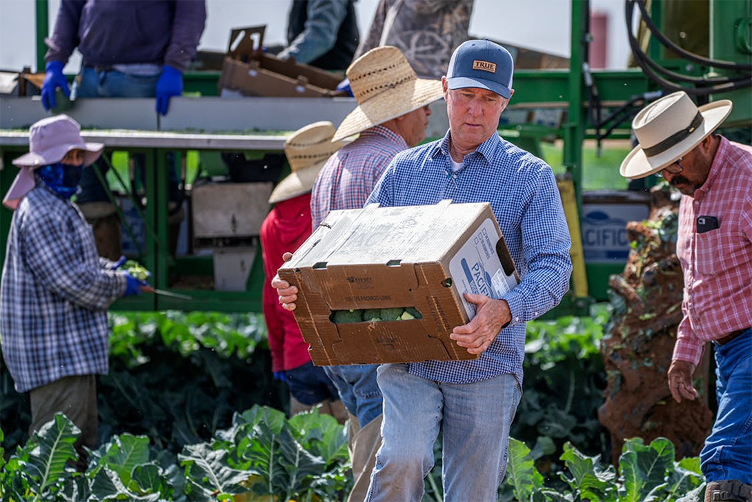 man carrying a box of produce while other people work in the background